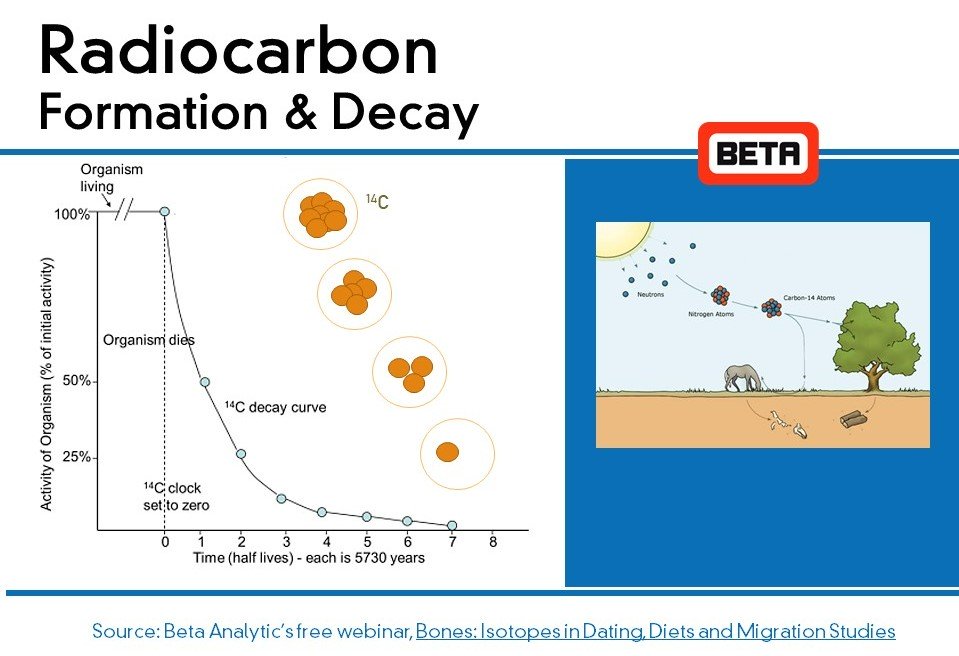 Radiocarbon-Formation-and-Decay